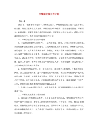 乡镇团支部工作计划 