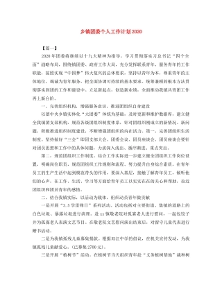 乡镇团委个人工作计划2024 