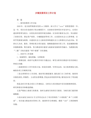 乡镇发展项目工作计划 