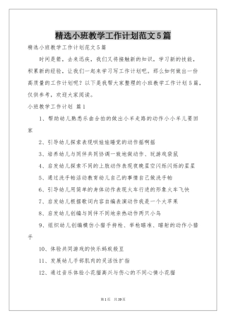 小班教学工作参考计划范本5篇