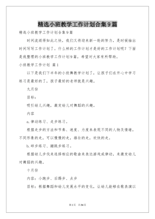 小班教学工作参考计划合集9篇