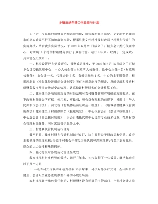 乡镇出纳年终工作总结与计划 