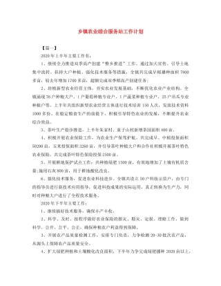 乡镇农业综合服务站工作计划 