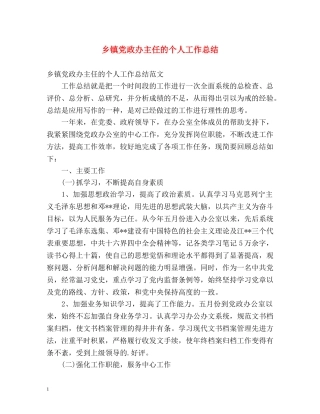 乡镇党政办主任的个人工作总结 