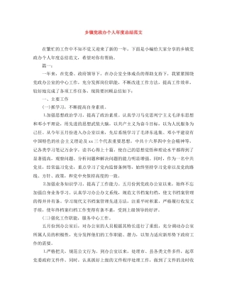 乡镇党政办个人年度总结范文 