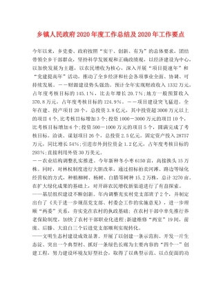 乡镇人民政府2024年度工作总结及2024年工作要点 