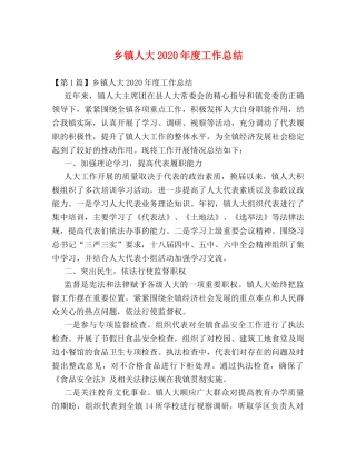 乡镇人大2024年度工作总结 