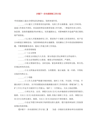 乡镇下一步内部控制工作计划 