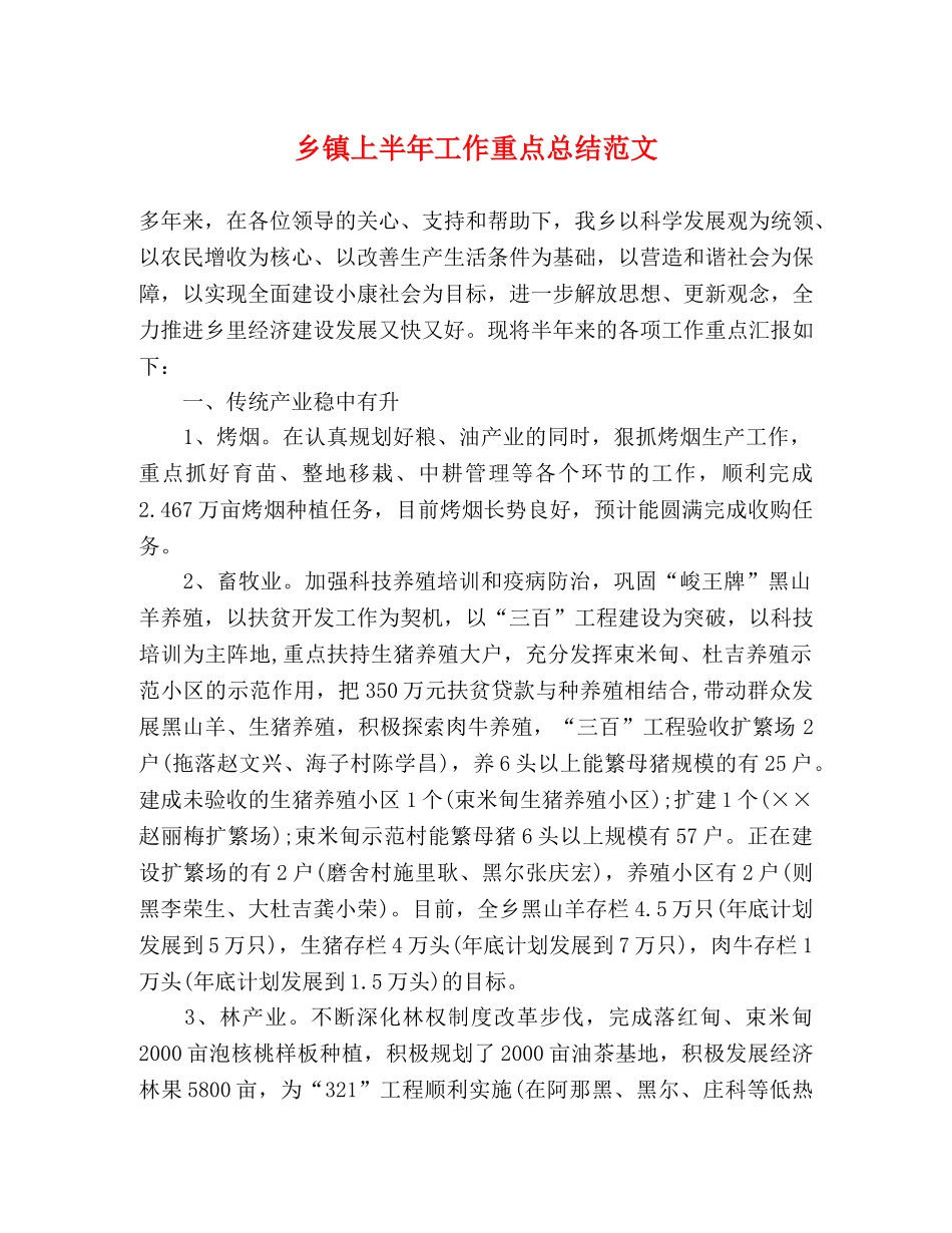 乡镇上半年工作重点总结范文 _第1页