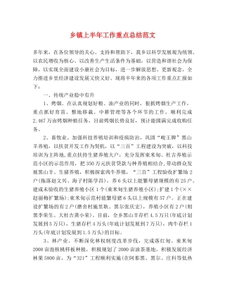乡镇上半年工作重点总结范文 
