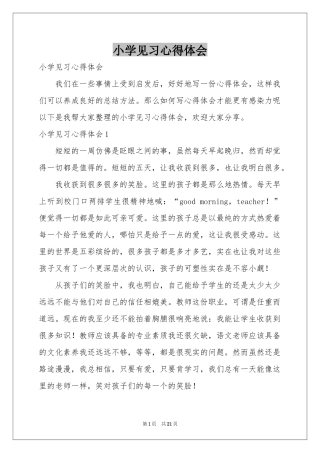 小学见习体会心得