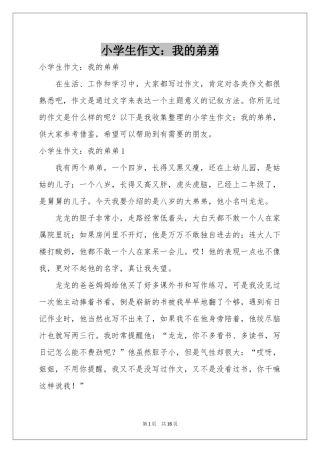 小学生作文：我的弟弟