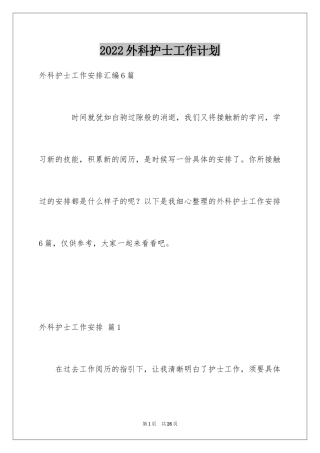 2024外科护士工作计划_19