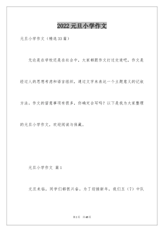 2024元旦小学作文_39