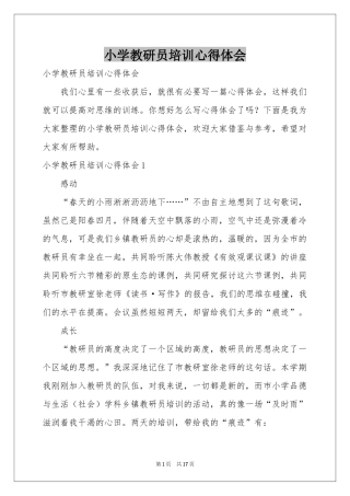 小学教研员培训体会心得