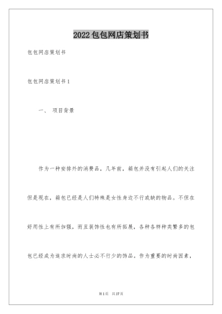 2024包包网店策划书_1