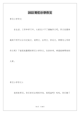2024哥们小学作文
