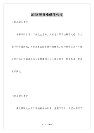 2024元旦小学生作文
