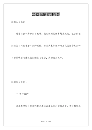 2024出纳实习报告_7