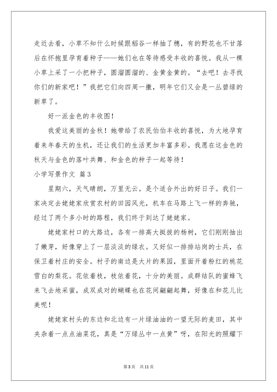 小学写景作文合集9篇_第3页