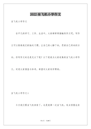 2024坐飞机小学作文_1