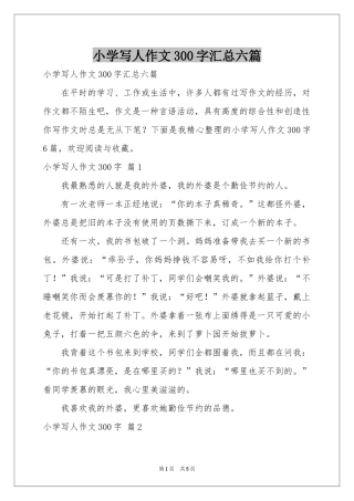小学写人作文300字汇总六篇