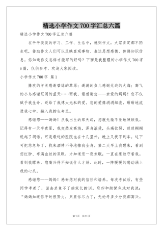 小学作文700字汇总六篇