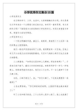 小学优秀作文集合15篇