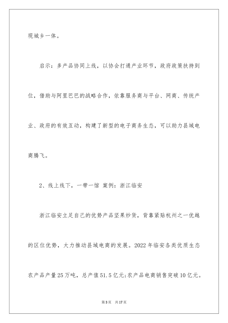 2024农村电商成功模式案例分析_第3页