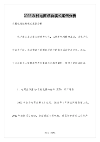 2024农村电商成功模式案例分析