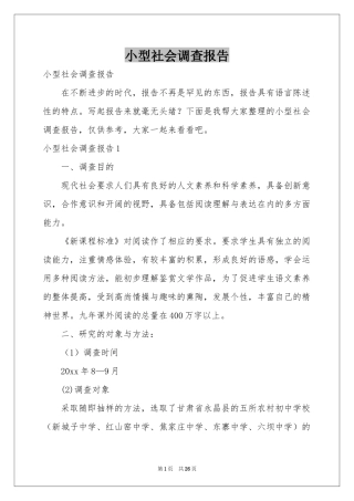 小型社会调查报告