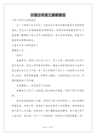 小型公司员工辞职报告