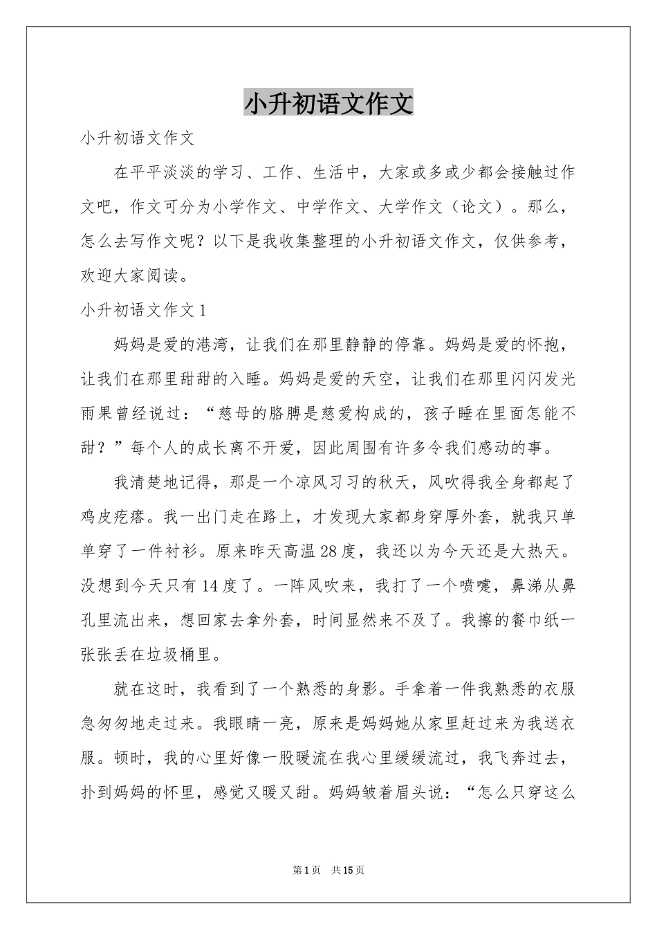 小升初语文作文_第1页