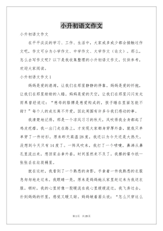 小升初语文作文