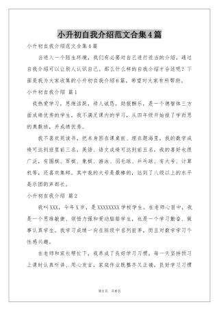 小升初自我介绍范本合集4篇