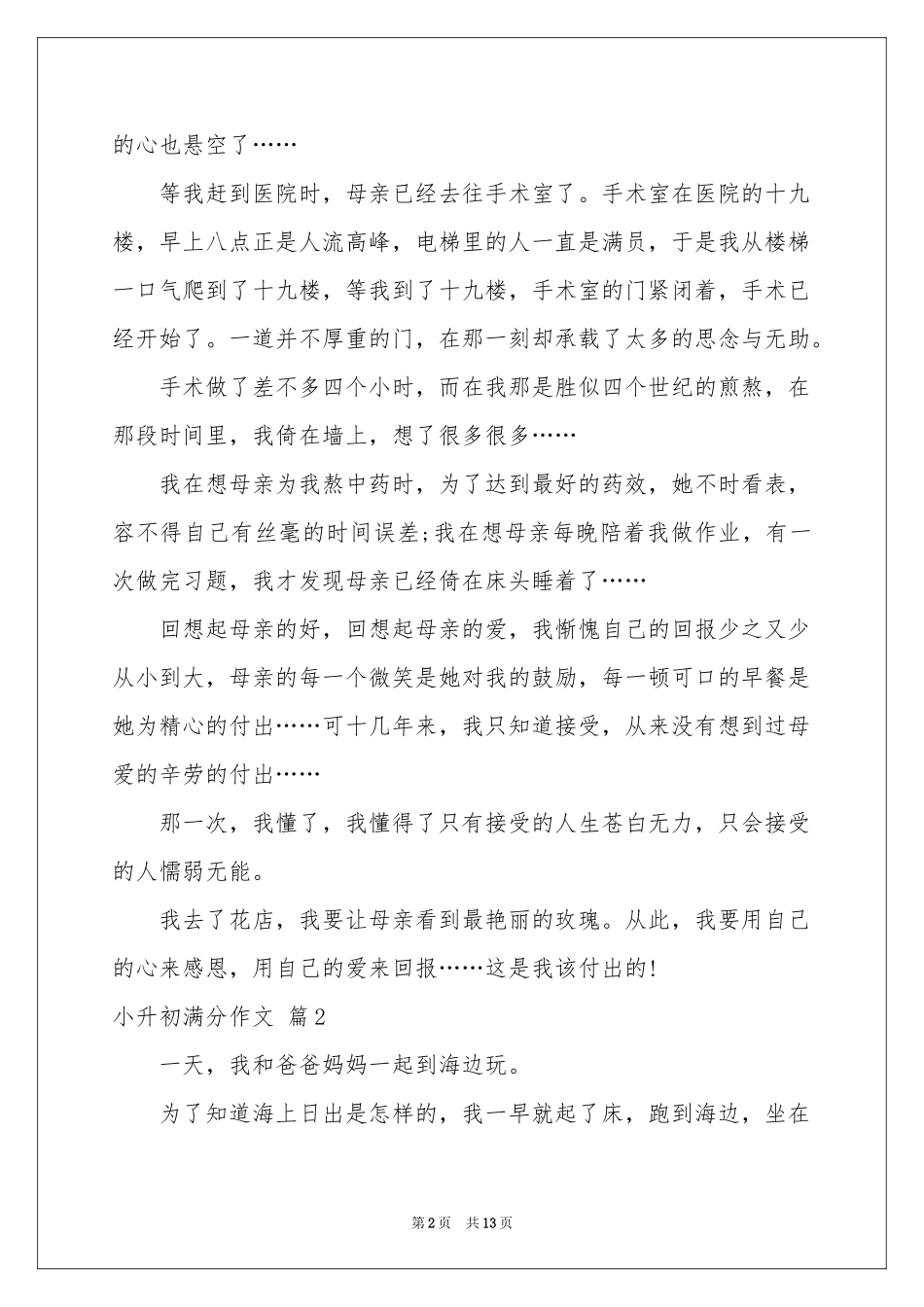 小升初满分作文汇总八篇_第2页