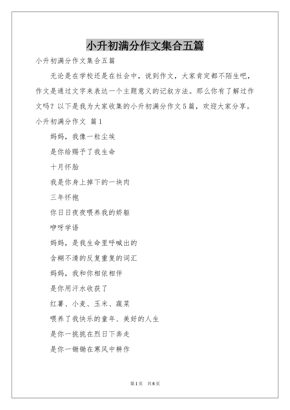 小升初满分作文集合五篇_第1页