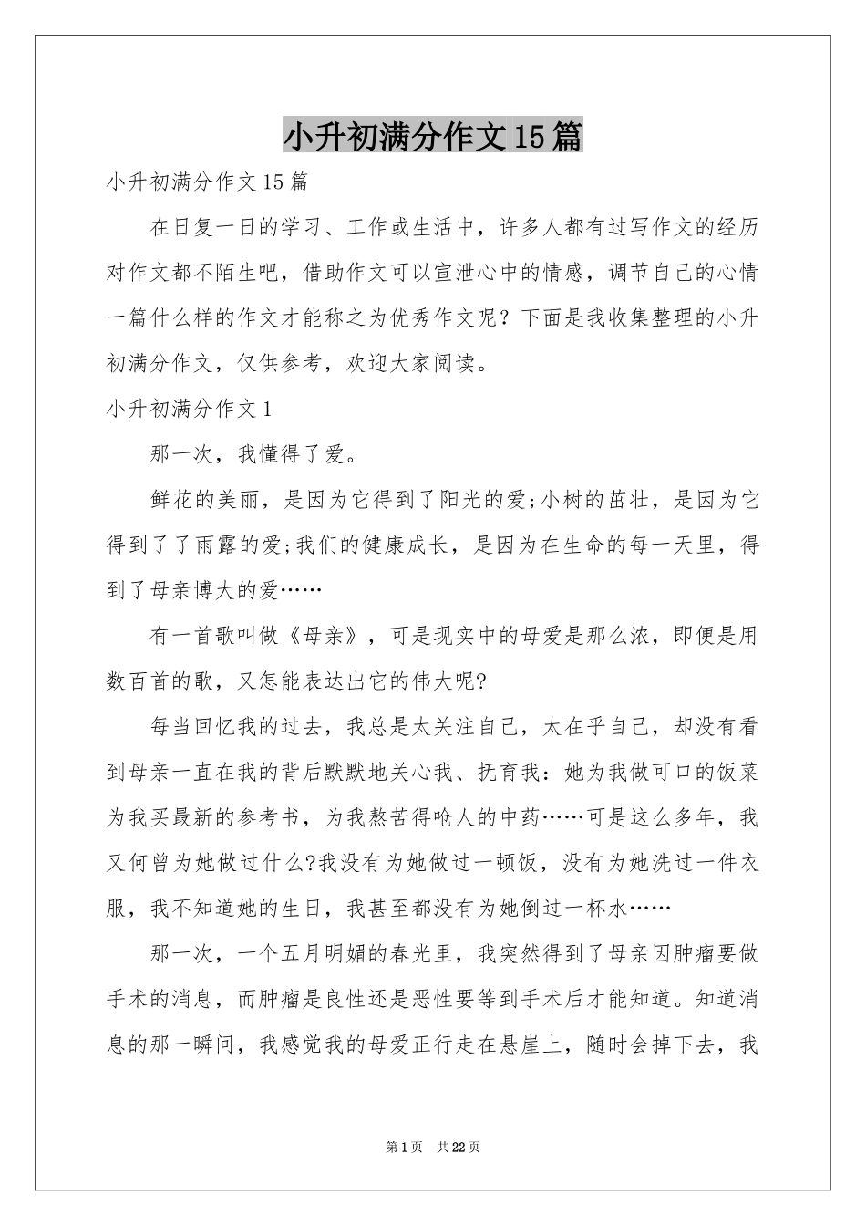 小升初满分作文15篇_第1页