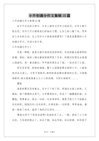 小升初满分作文集锦15篇
