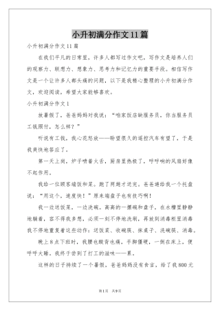 小升初满分作文11篇
