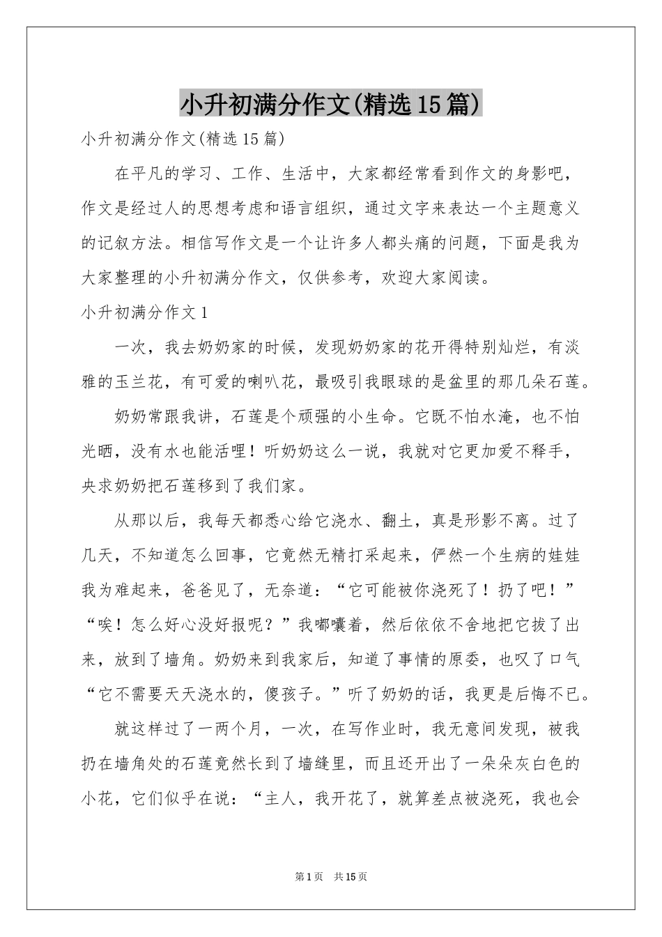 小升初满分作文(精选15篇)_第1页