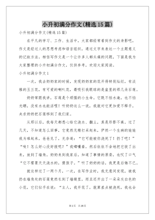 小升初满分作文(精选15篇)