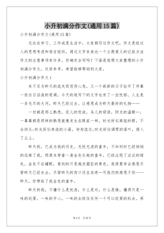 小升初满分作文(通用15篇)