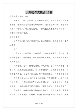 小升初作文集合15篇
