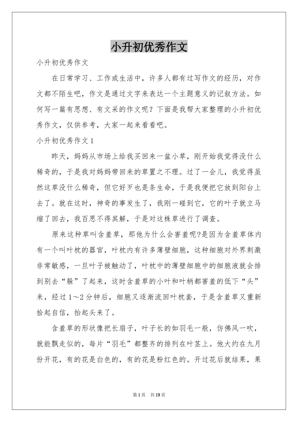 小升初优秀作文_第1页