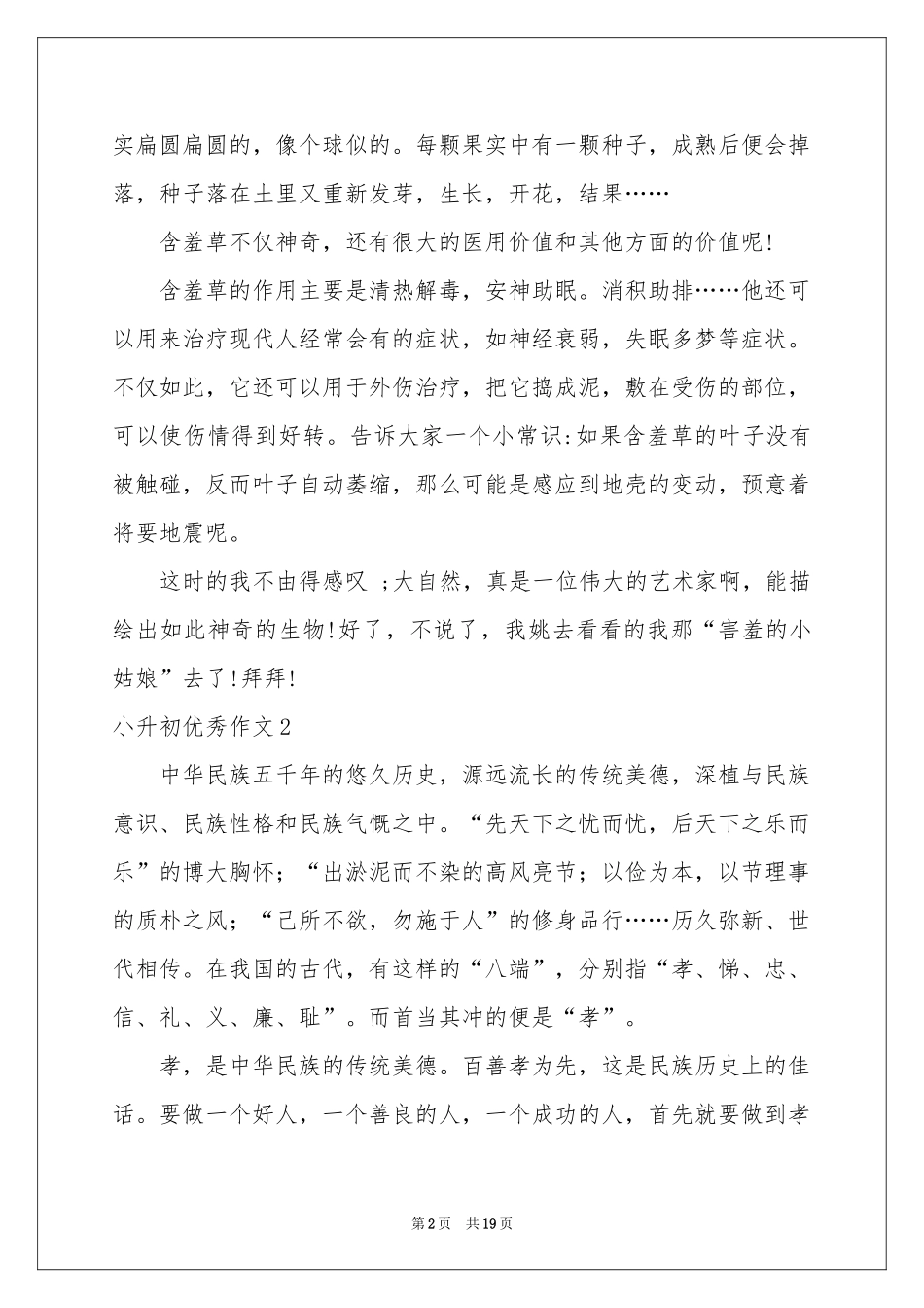 小升初优秀作文_第2页