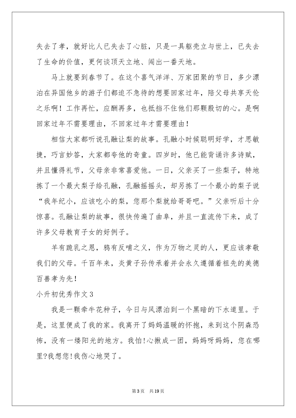 小升初优秀作文_第3页