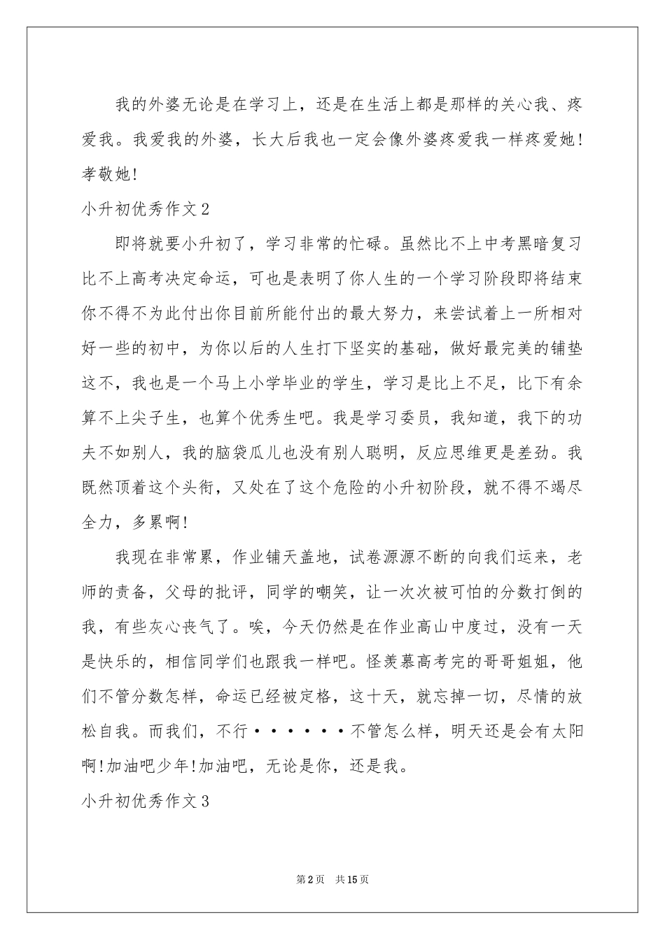小升初优秀作文(通用15篇)_第2页