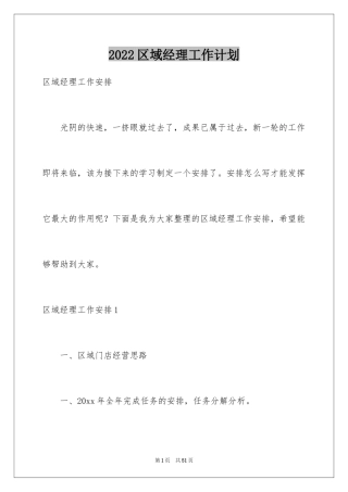 2024区域经理工作计划_7