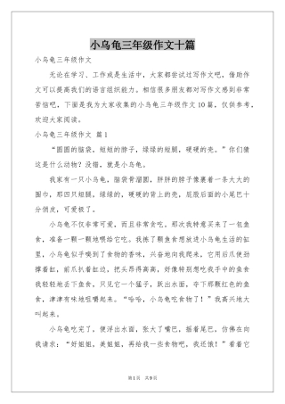 小乌龟三年级作文十篇